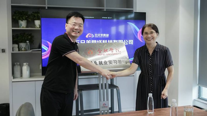 合肥网络技术咨询：抓住数字化转型新机遇